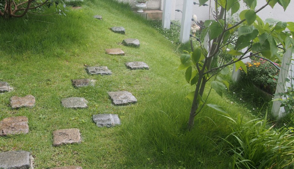 かわいい芝生の丘