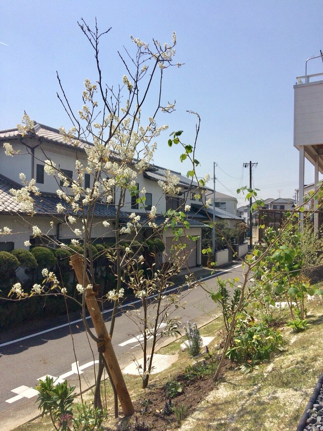 飾りすぎないスマート外構