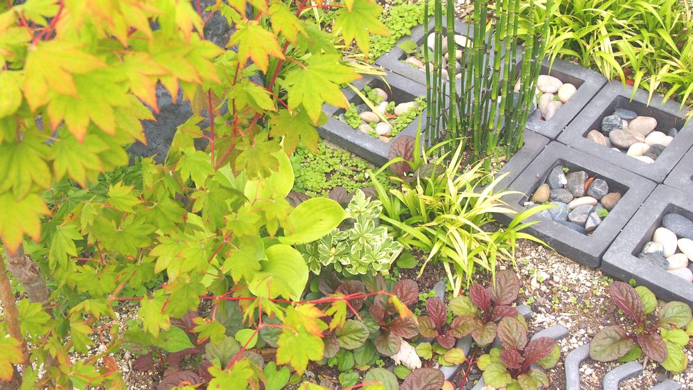 和のおもてなしガーデン