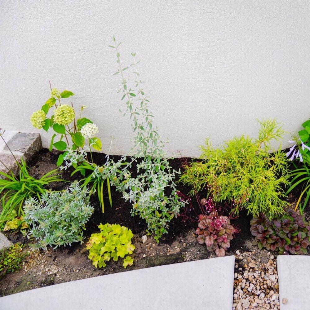 植栽　北欧テイスト