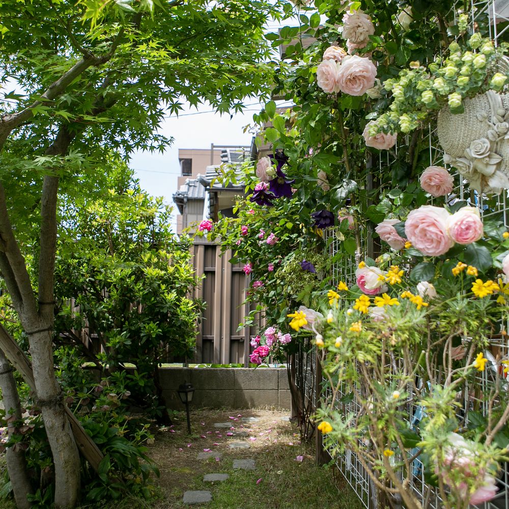 植栽のトンネル