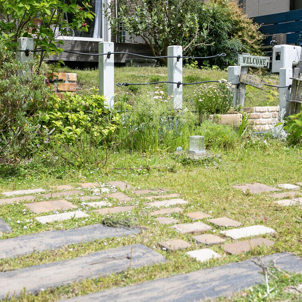 庭　駐車場　自然