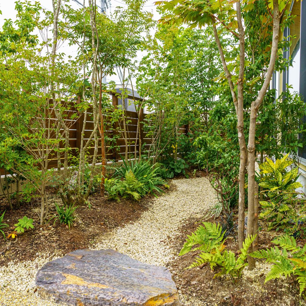 庭　植栽　雑木