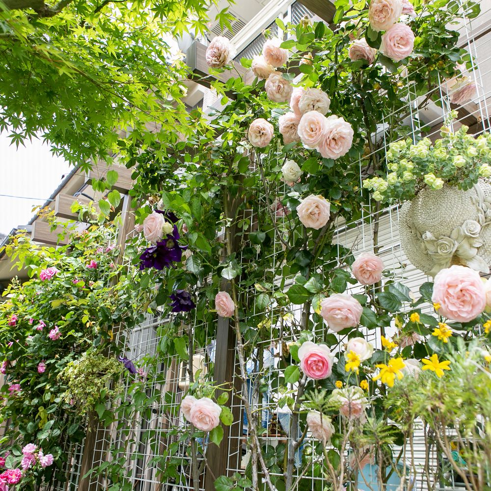 花と緑のマリンガーデン 名古屋市