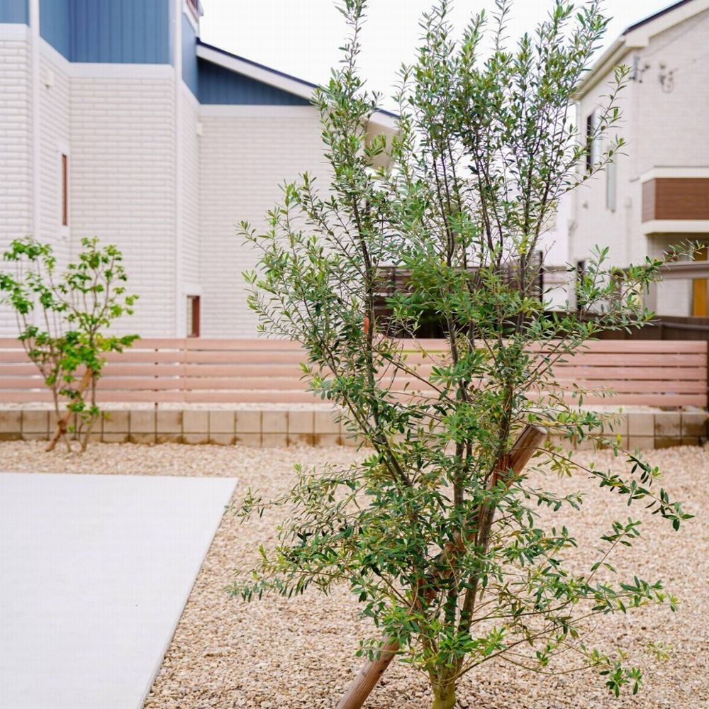 自然の似合う北欧ガーデン　豊田市