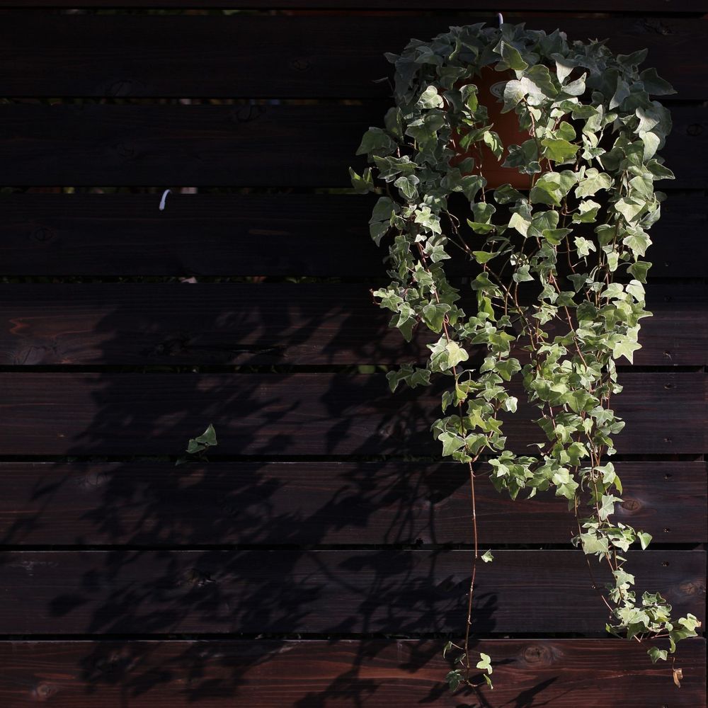 フェンス　豊明市ラップガーデン