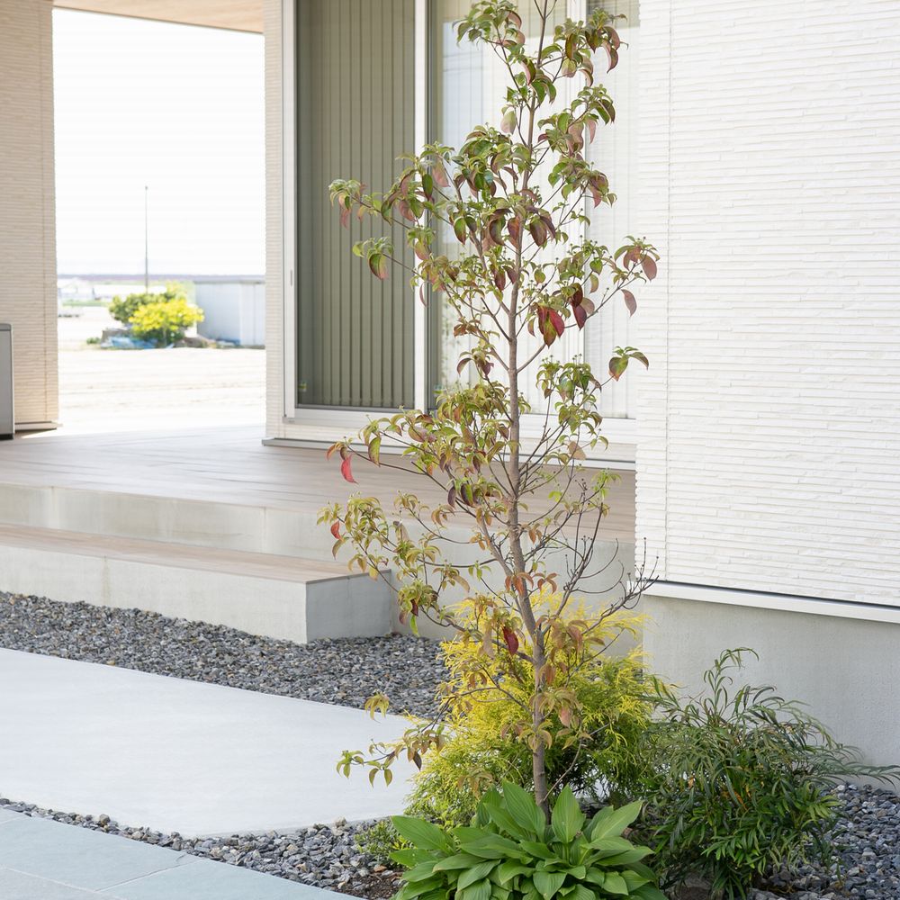 植栽　タイルテラス