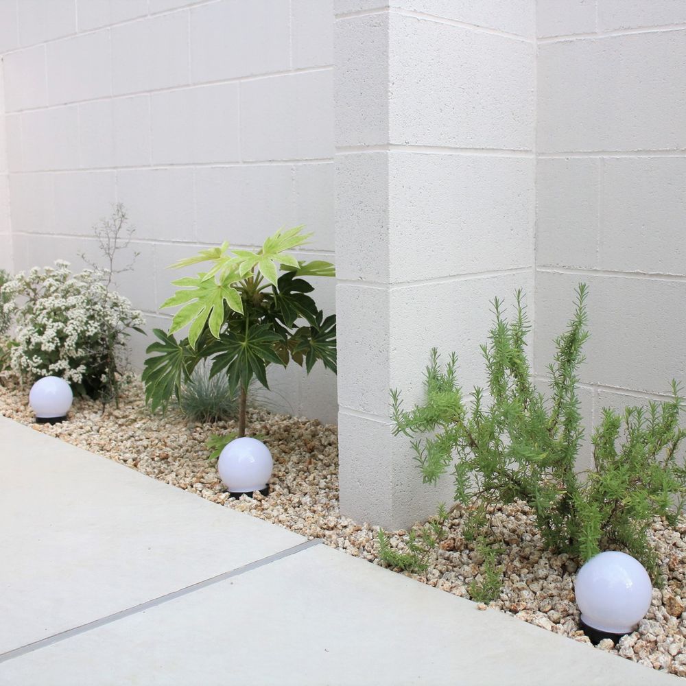 控え壁　植物とライト